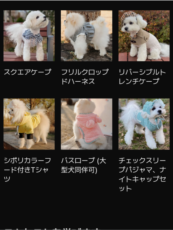 犬服オンラインレッスンCLASS101＋４